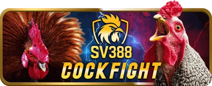 Trải nghiệm game độc quyền kt88 nhà cái